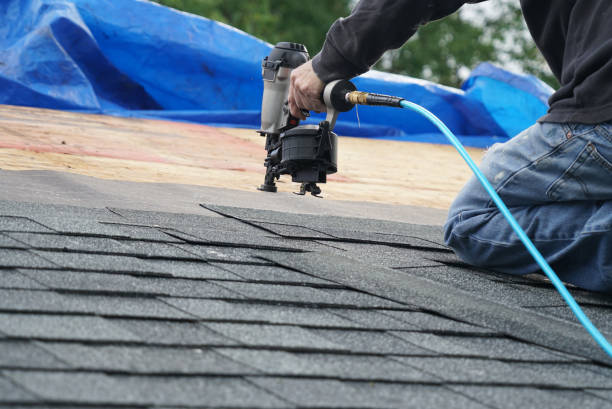 Best Roof Maintenance and Cleaning  in Harrodsburg, KY
